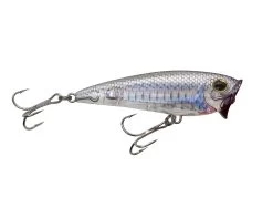 Yo-Zuri 3D Inshore Popper