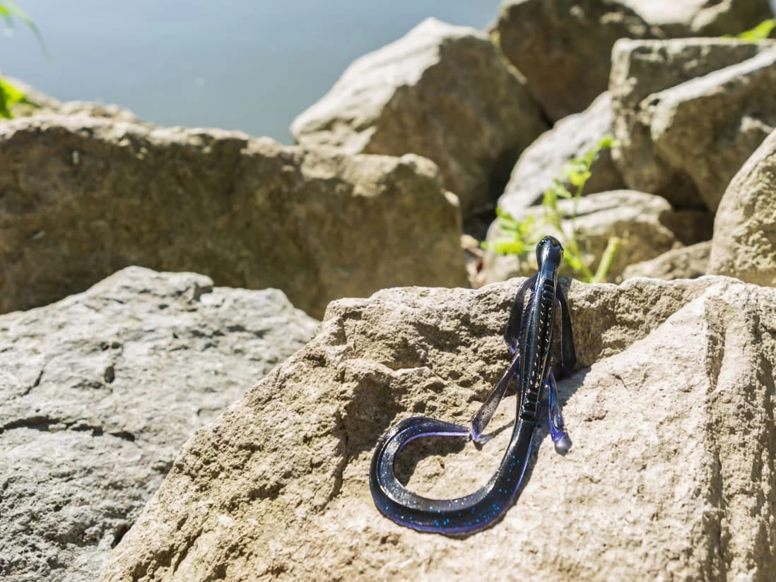 13 Fishing Lizzy - Image 2