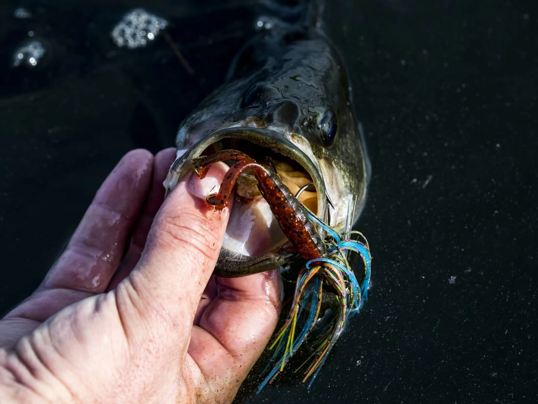 Z-Man Midwest Finesse Swim Jig - Image 3