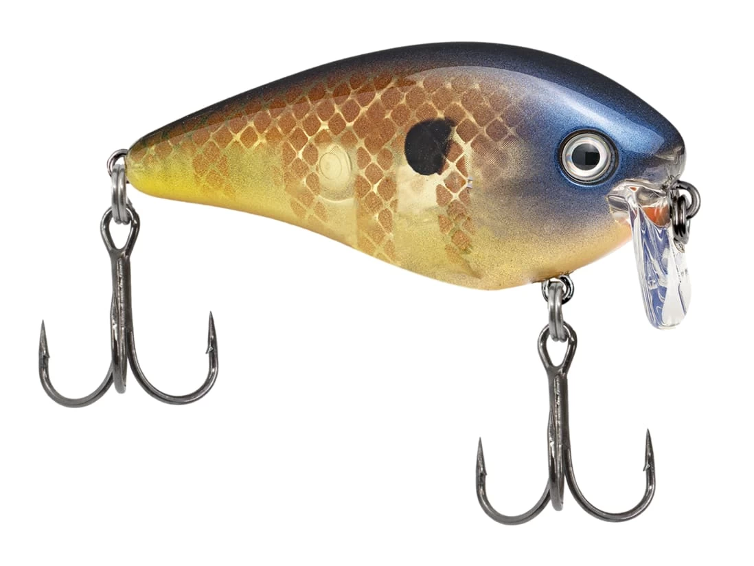 Strike King KVD 2.5 Wake Bait